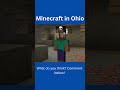 Minecraft in Ohio Meme
