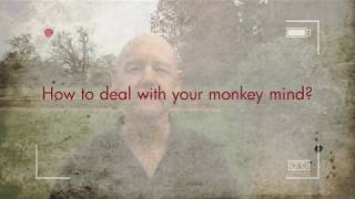 How to deal with your "monkey mind"