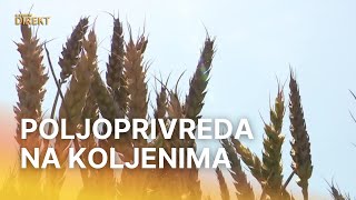 Hrvatska je poljoprivreda na koljenima. Na gotovo polovici zemljišta ne uzgaja se ništa | RTL Direkt