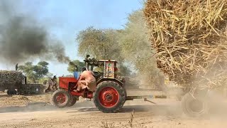 Wow Powerful Belarus tractor stunt | tractor pulling sugarcane loaded trailer