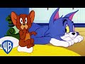 Tom et Jerry en Français | Classiques du dessin animé 115 | WB Kids