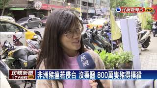 非洲豬瘟延燒 台灣若中鏢 滷肉飯吃不到－民視新聞