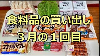 食料品の買い出し　３月の１回目　１０点購入