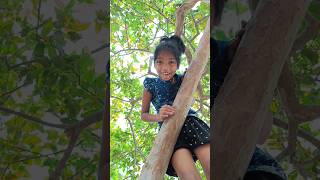 Hema Climbing At Guava Tree  ||  సరదాగ జామ కాయలు కోయటం