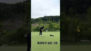 파3 210m 플레이영상