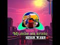 mjumbe wa kristo _ mzigo wako