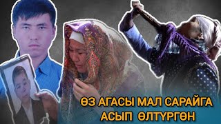 13 жаштагы баланын сөөгү мал сарайдан табылып, таенесин шок кылды.