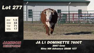 Lot 277 - JA L1 Dominette 7600T