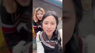 阿伟与阿子莫：阿伟今天过来阿子莫家玩，带了一只鸡阿英看到很开心，阿伟同阿子一起做鸡肉吃，阿伟让阿英过来帮忙，阿英说你们负责做我负责吃。阿子家来了几位美女，阿伟同美女打招呼。