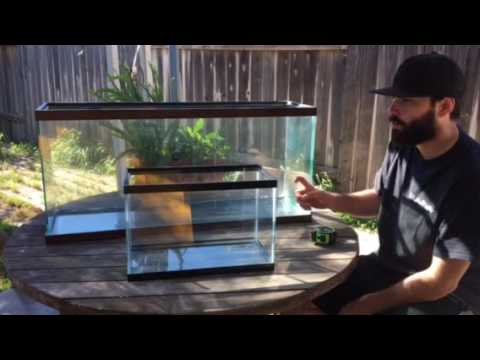 How to tell how many gallons a fish tank is. How to tell how many gallons a fish tank is.