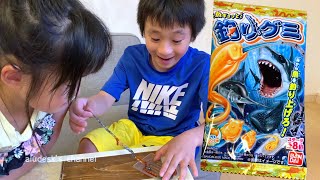 魚ギョッと 釣りグミ チャレンジ！