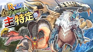 【MHRise】ライズの全フィールドにおける\