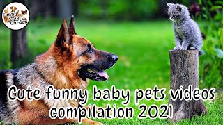 Cute funny baby pets videos compilation 2021 | How to refresh, relax & relieve from stress