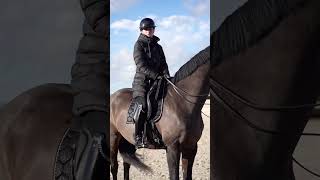 Go sur mon compte pour voir la vidéo complète #equestrian #horse #dressagetraining  #dressagerider