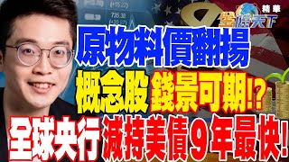 【精華】原物料價翻揚概念股「錢」景可期！？全球央行減持美債9年最快！#紀緯明 @tvbsmoney 20230327