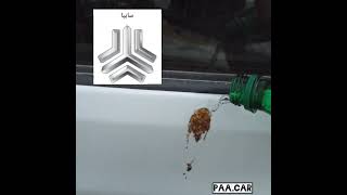 #مقایسه #تویوتا #لندکروز با #پراید #سایپا #پرنده #carculture  #bird shit #کلیپ_طنز #خنده #شستشو