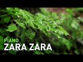 Zara Zara (Rehnaa Hai Terre Dil Mein) Piano Instrumental