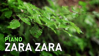 Zara Zara (Rehnaa Hai Terre Dil Mein) Piano Instrumental