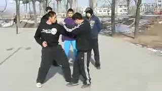 八极拳 猛虎硬爬山之二 Bajiquan Menghu Ying Pashan Zhi Er