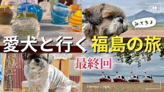 【シーズー】愛犬と行く福島旅！磐梯山を眺めながらランチ♪犬と入れる個室があるカフェが最高/ガラス館/猪苗代湖