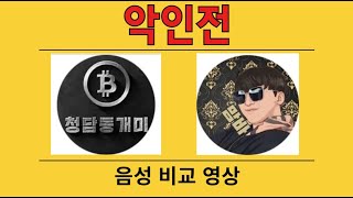 청담동개미 vs 맘바 음성비교 pe.10