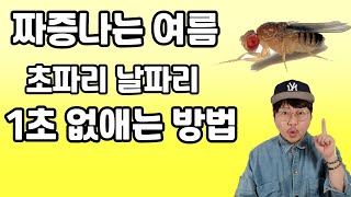 1초 초파리 없애는법