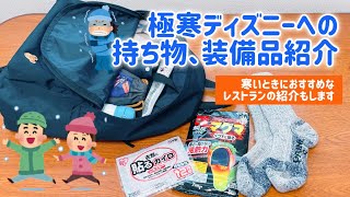【ディズニーへの持ち物】冬の極寒パークへ行く 私の持ち物 装備品