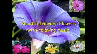 Beautiful Garden Flowers with relaxing music