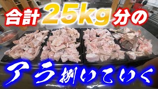 合計２５キロのアラ（クエ）を捌く！料亭〜亀おたけ〜【きおたけ】に特別に持ち込んでみた。