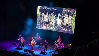 King Creosote - Blue Marbled Elm Trees