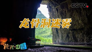 龙骨洞里真的有巨龙留下的“骨骸”？“妖雾山”的神奇现象又是如何形成的呢？寻奇天下·龙骨洞迷雾 20211202 |《地理·中国》CCTV科教