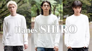 Hanes ”SHIRO”  /  ヘインズ最高の白Tを紹介！