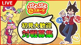 【対戦募集】 超全力特訓！！ボコボコにして私を治してください【ぷよぷよeスポーツ】