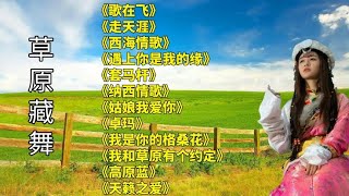 藏舞歌在飞走天涯西海情歌遇上你是我的缘套马杆纳西情歌
