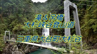 滝＆吊橋 大杉峡谷登山道 三重県