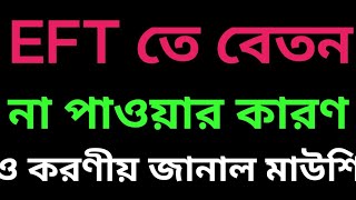 ইএফটিতে বেতন না পাওয়ার কারণ ও করণীয় জানাল মাউশি