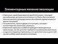 Биология 9 класс. Современные представления об эволюции органического мира