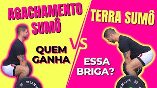 AGACHAMENTO sumô x TERRA sumô - Qual o melhor Entenda as diferenças