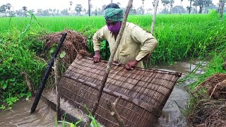 Fishing use Bamboo \