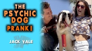 The Psychic Dog Prank | Jack Vale