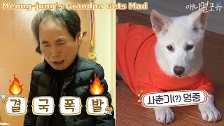 The Reason Why Meong-jung's Grandpa Gets Mad