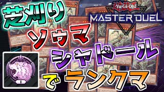 【マスターデュエル】ついにソゥマきた！！！！！！！！！！Foooooooooooooooo!!!!!!!!　芝刈りソゥマシャドールでランクマ(ダイヤ1)