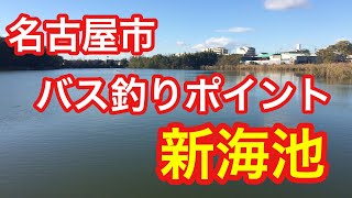 新海池  名古屋市バス釣りポイント ブラックバス