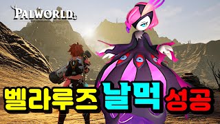 [팰월드] 벨라루즈 쉽게 잡는법 성공!!! 날먹 성공. 팔월드 8부. PALWORLD.