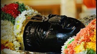 Athi Varadar|அத்தி வரதர்