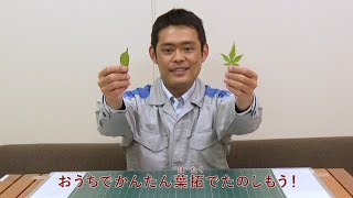 おうちでかんたん葉拓で楽しもう！｜九電みらい財団