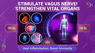 Stimulate The Vagus Nerve - Strengthen Vital Organs - Heal Inflammation, Boost Immunity - 741 Hz