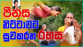 පීනස නිට්ටාවට සුවකරන රහස | Ayu Rahas EP 12