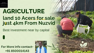 Agriculture land 10 acres for sale in Nuzvid, Andhra Pradesh