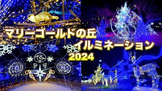 【マリーゴールドの丘イルミネーション2024】【埼玉県　本庄市】／4K／Hill illuminations of marigold